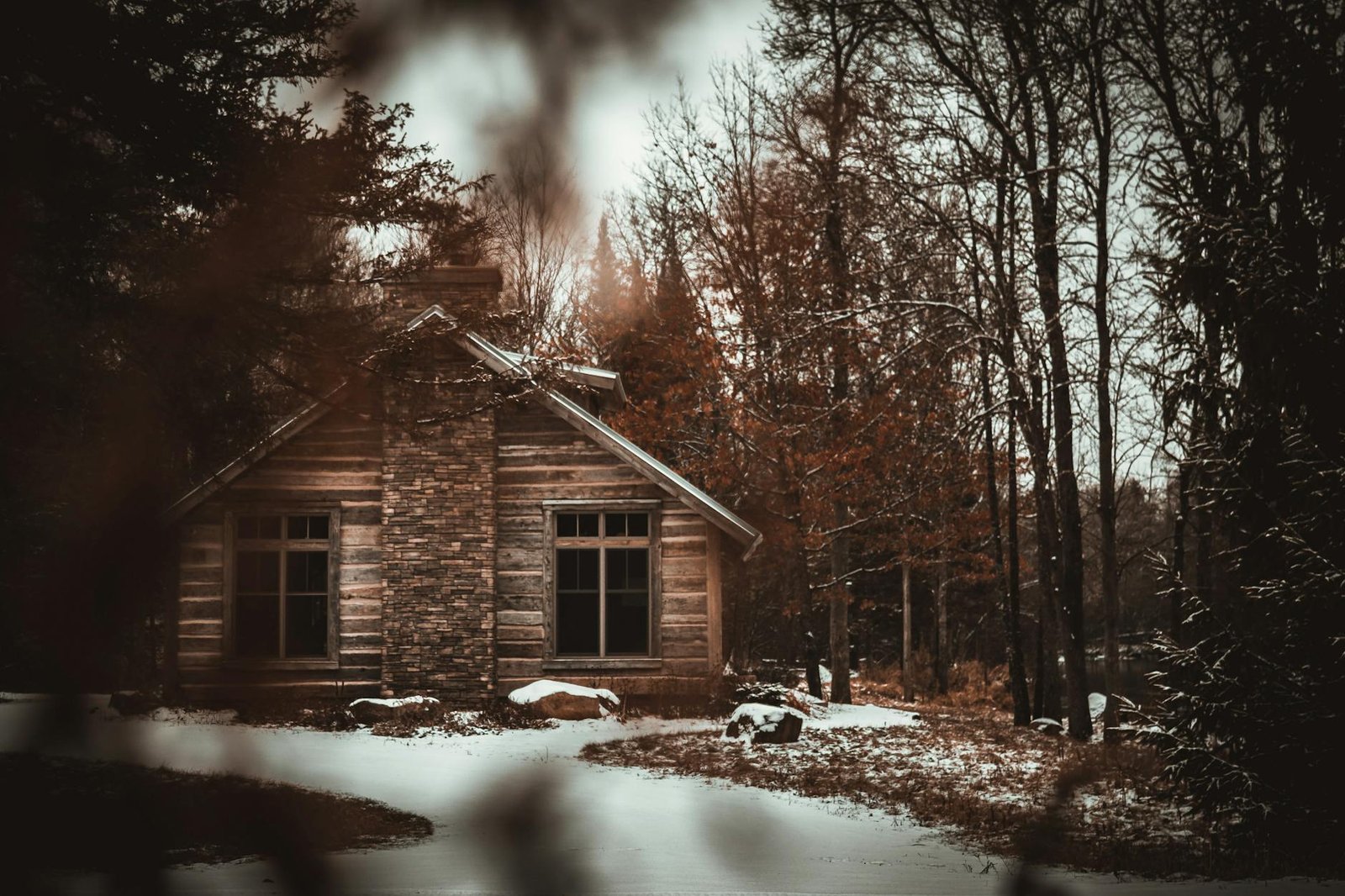 cabin near trees